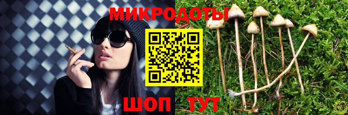 Псилоцибиновые грибы Psilocybe Нижнекамск